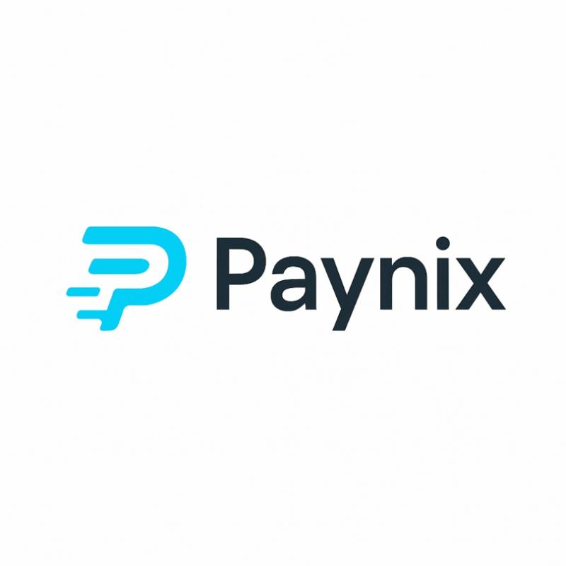 Paynix Logo 2