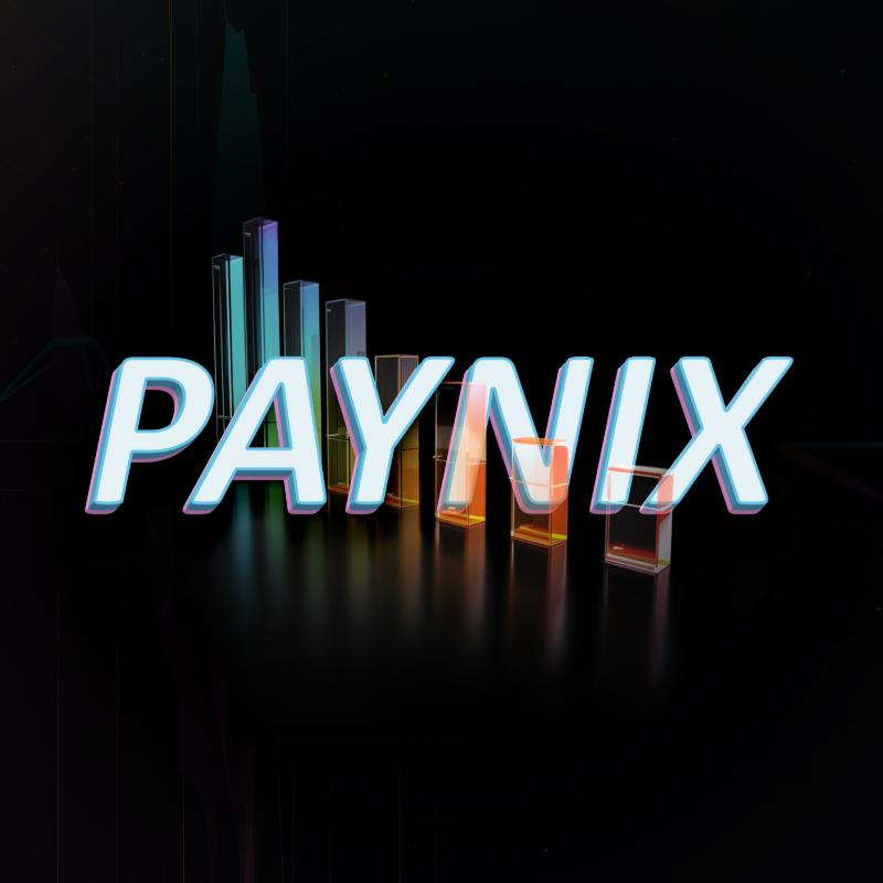 PAYNİX1 - Mustafa Dinçer tarafından Logo Tasarımı kategorisinde tasarlanan Yeni nesil Finans şirketimiz için logo istiyoruz tasarımı